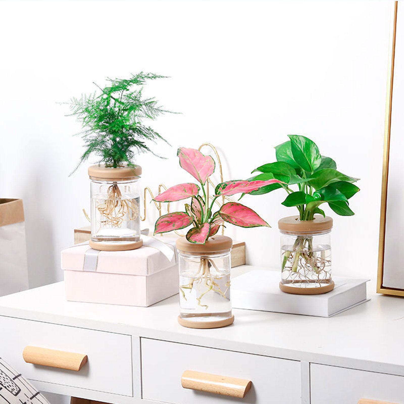 3 個の水耕栽培花瓶装飾花瓶農家バルコニーキャビネット用 - Propagation Station Vase のレビューと価格