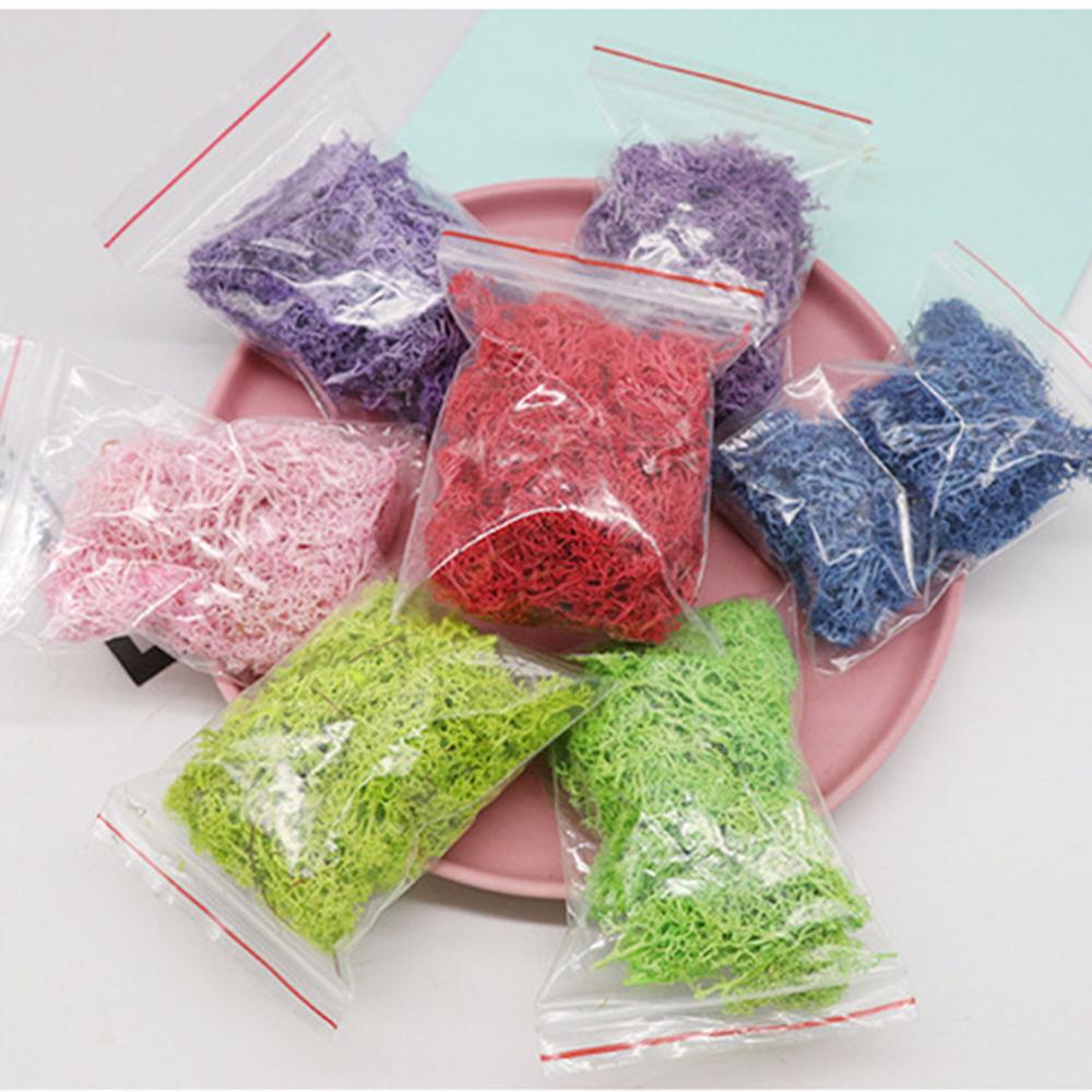 人工植物永遠の命モスガーデンクリスマス装飾壁 Diy フラワ - Sphagnum Moss Dry のレビューと価格