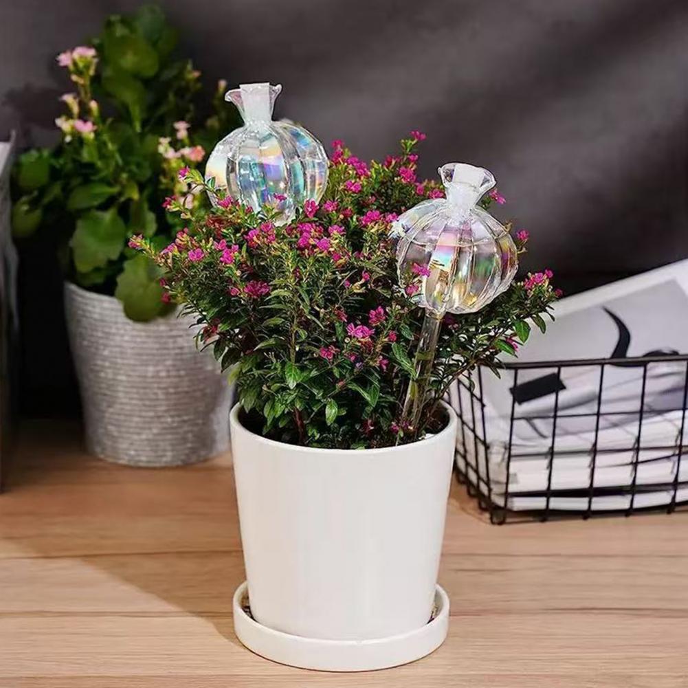 24cm サボテン型自動給水プランターインサート、サボテン型 - Self Watering Insert のレビューと価格
