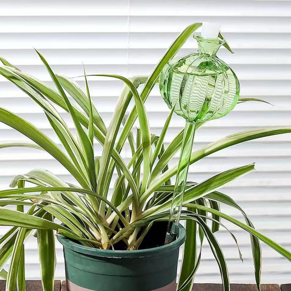 24cm サボテン型自動給水プランターインサート、サボテン型 - Self Watering Insert のレビューと価格