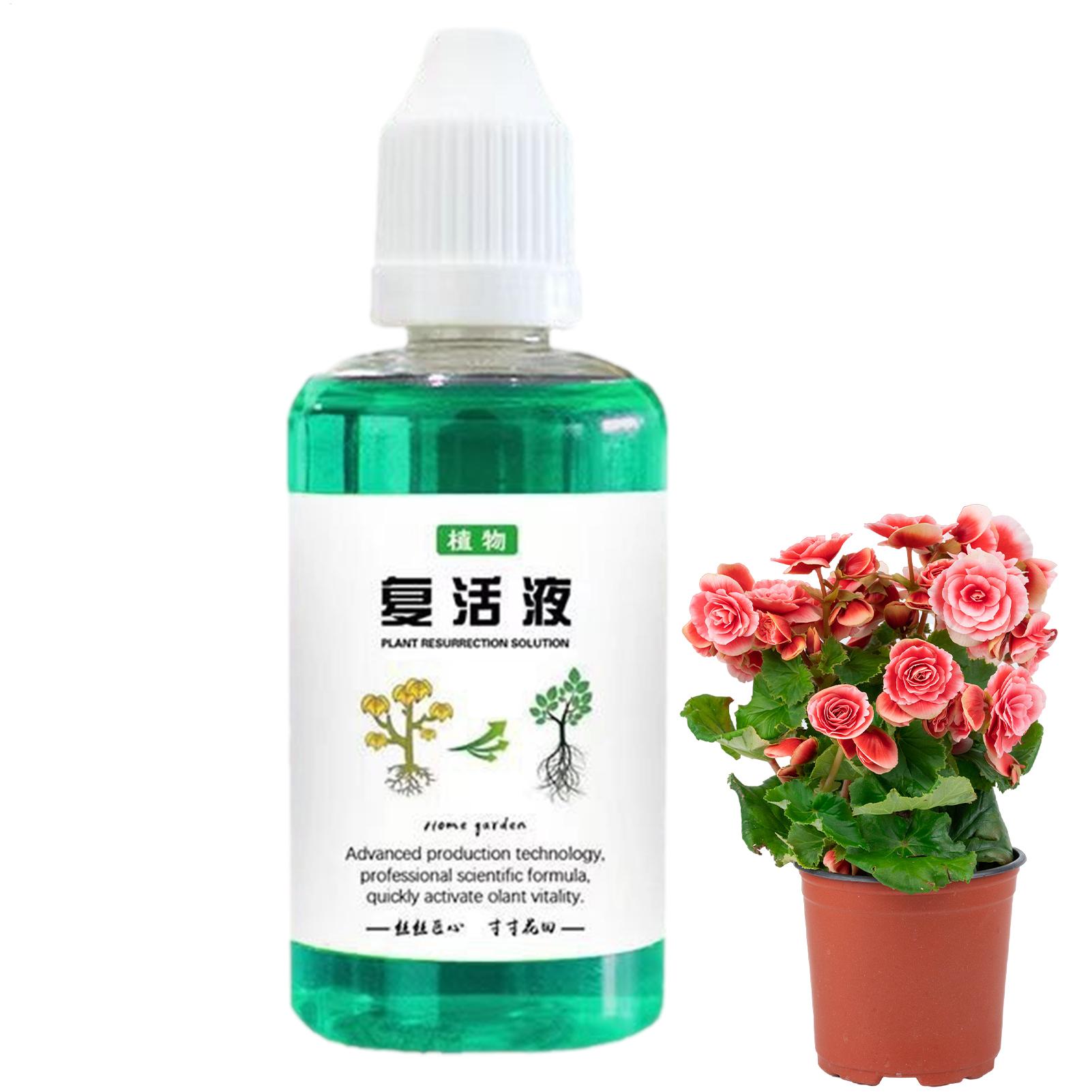 植物用根刺激剤 50ml 植物成長促進剤 多肉植物根ブースタ - Root Stimulator Liquid のレビューと価格