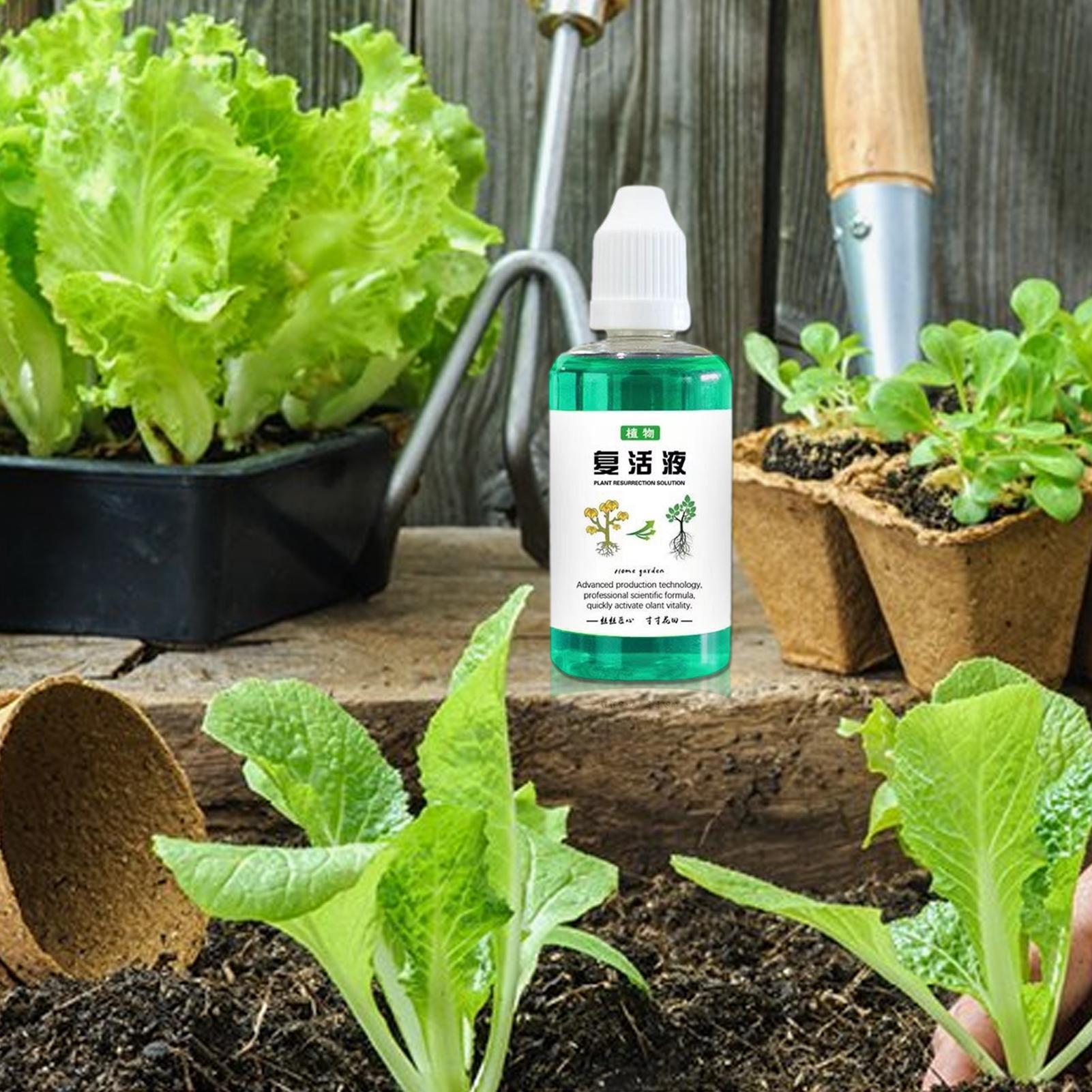植物用根刺激剤 50ml 植物成長促進剤 多肉植物根ブースタ - Root Stimulator Liquid のレビューと価格
