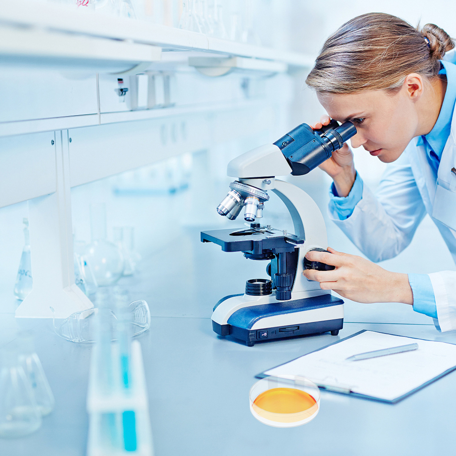 30個ペトリ皿透明プラスチック実験室培養皿蓋付き寒天組織実験 - Agar Tissue Culture のレビューと価格