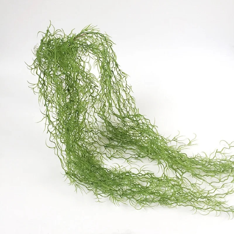 1/3/5個入り エアーグラス グリーンプラント ロングバイ - Sphagnum Moss Dry のレビューと価格