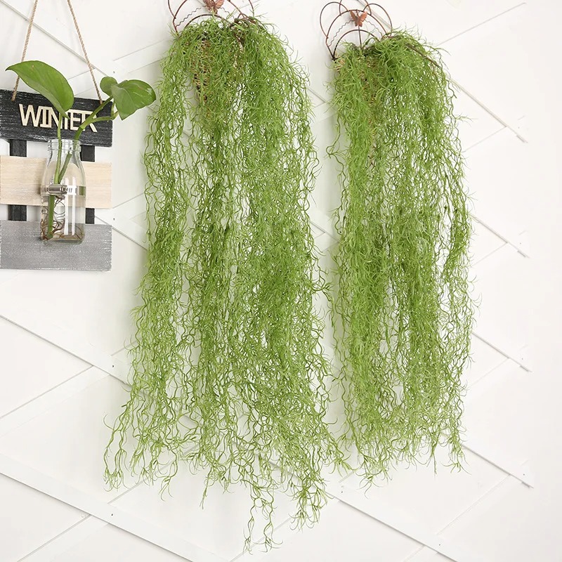 1/3/5個入り エアーグラス グリーンプラント ロングバイ - Sphagnum Moss Dry のレビューと価格