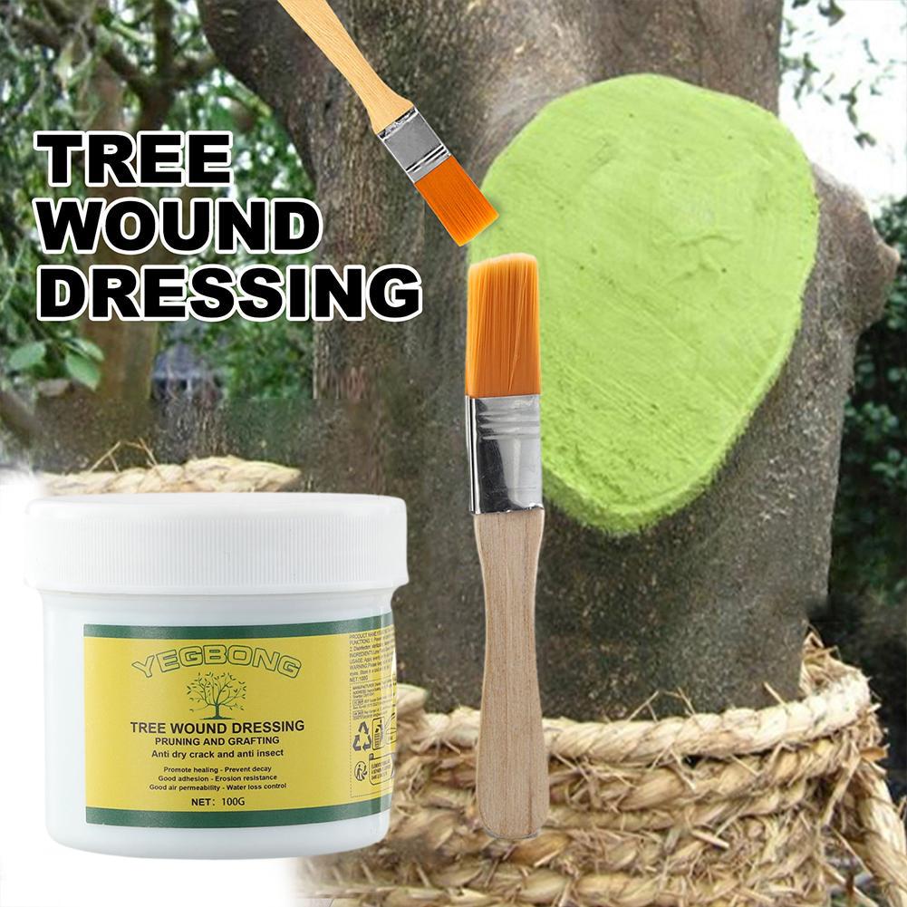 100 グラム木の接ぎ木ペースト木の傷ペーストスミア剤木の剪 - Rooting Hormone Powder のレビューと価格