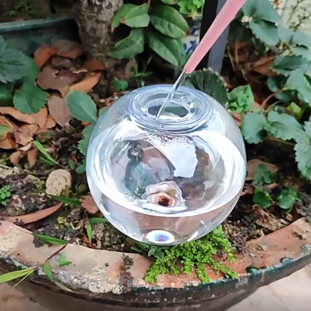 500ML自動給水グローブ点滴灌漑システム、自動給水プランタ - Self Watering Insert のレビューと価格