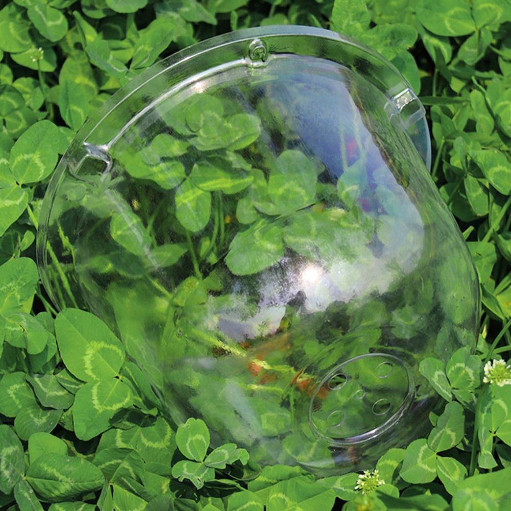 再利用可能な透明プラスチック製苗保護カバー、植物保温湿度ドー - Plastic Dome Clear のレビューと価格