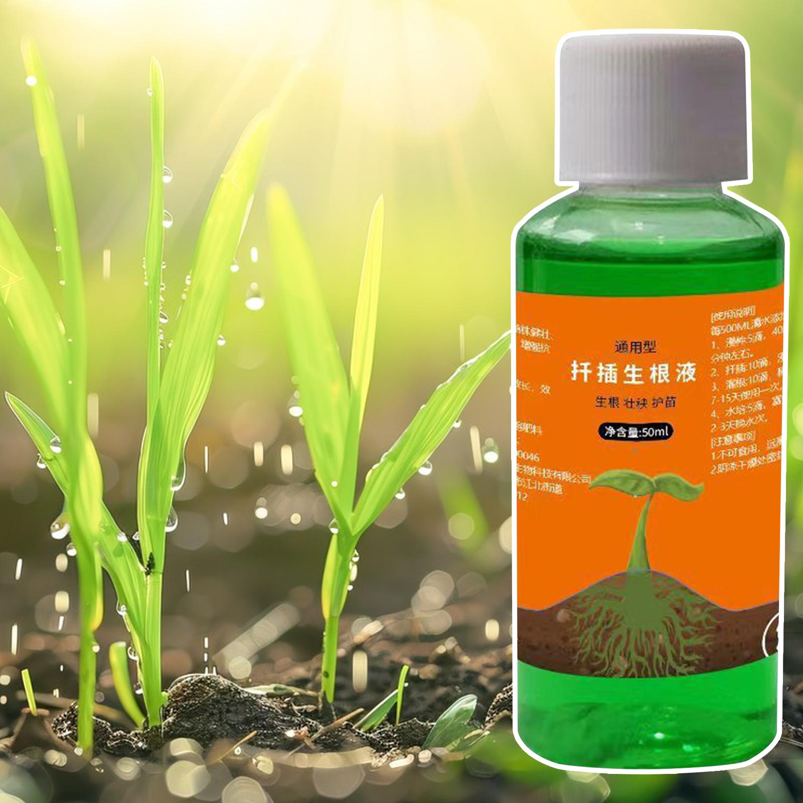 植物挿し木用高効率根刺激剤、発根促進剤、庭園植物用速根成長促 - Root Stimulator Liquid のレビューと価格