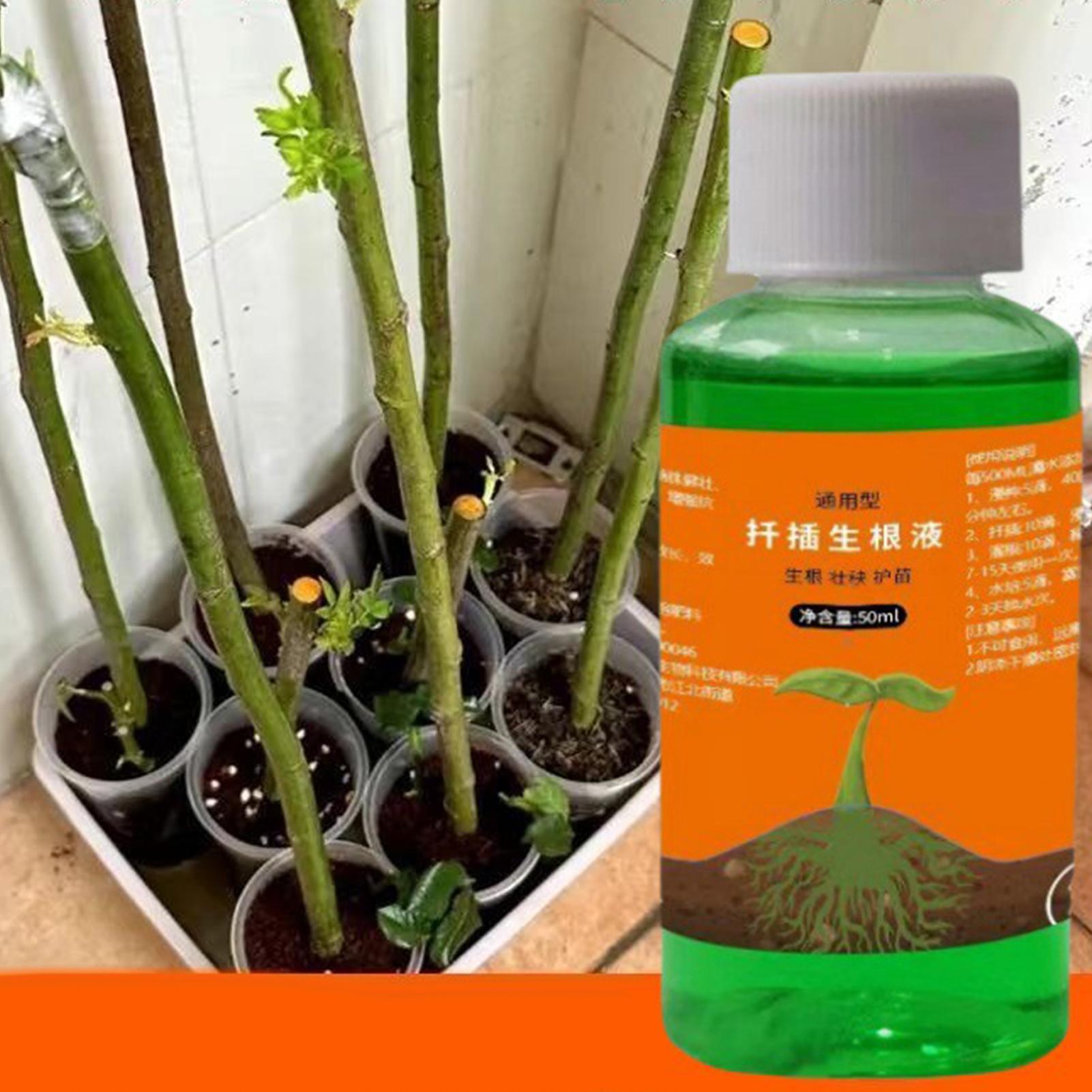植物挿し木用高効率根刺激剤、発根促進剤、庭園植物用速根成長促 - Root Stimulator Liquid のレビューと価格