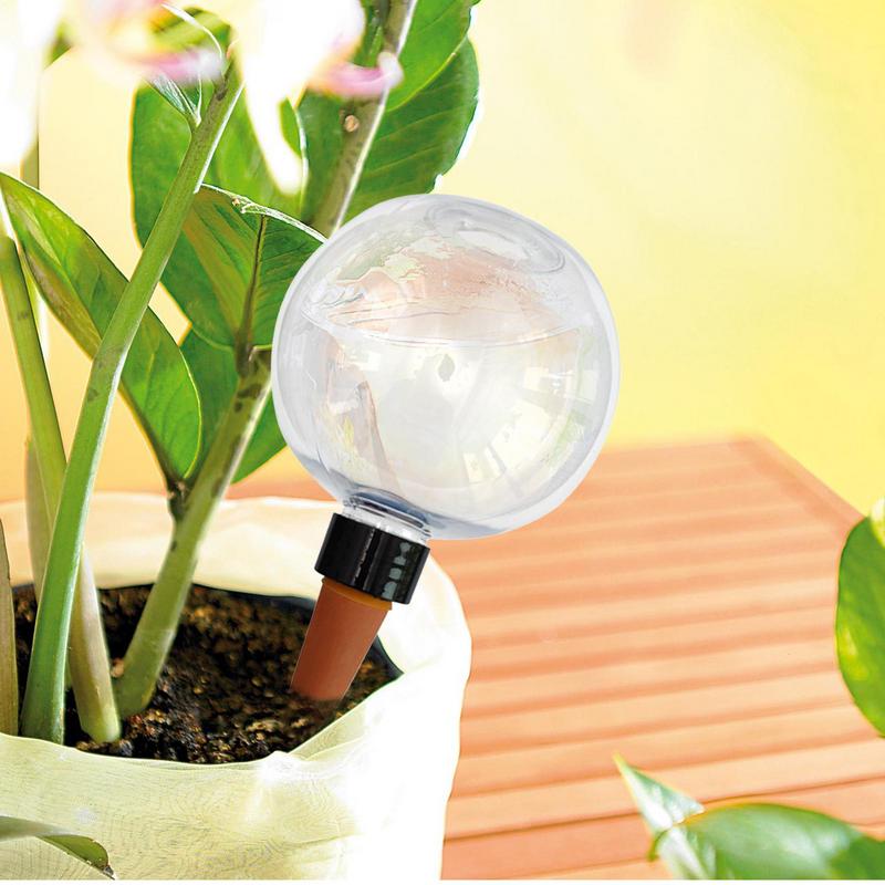 植物散水球根自動 500 ミリリットルガラスグローブプランタ - Self Watering Insert のレビューと価格