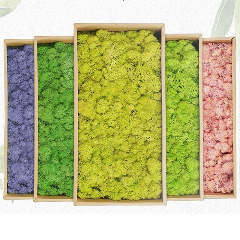 人工緑の植物,エターライフ草,ミニ景観,偽草,家,居間,庭の - Sphagnum Moss Dry のレビューと価格