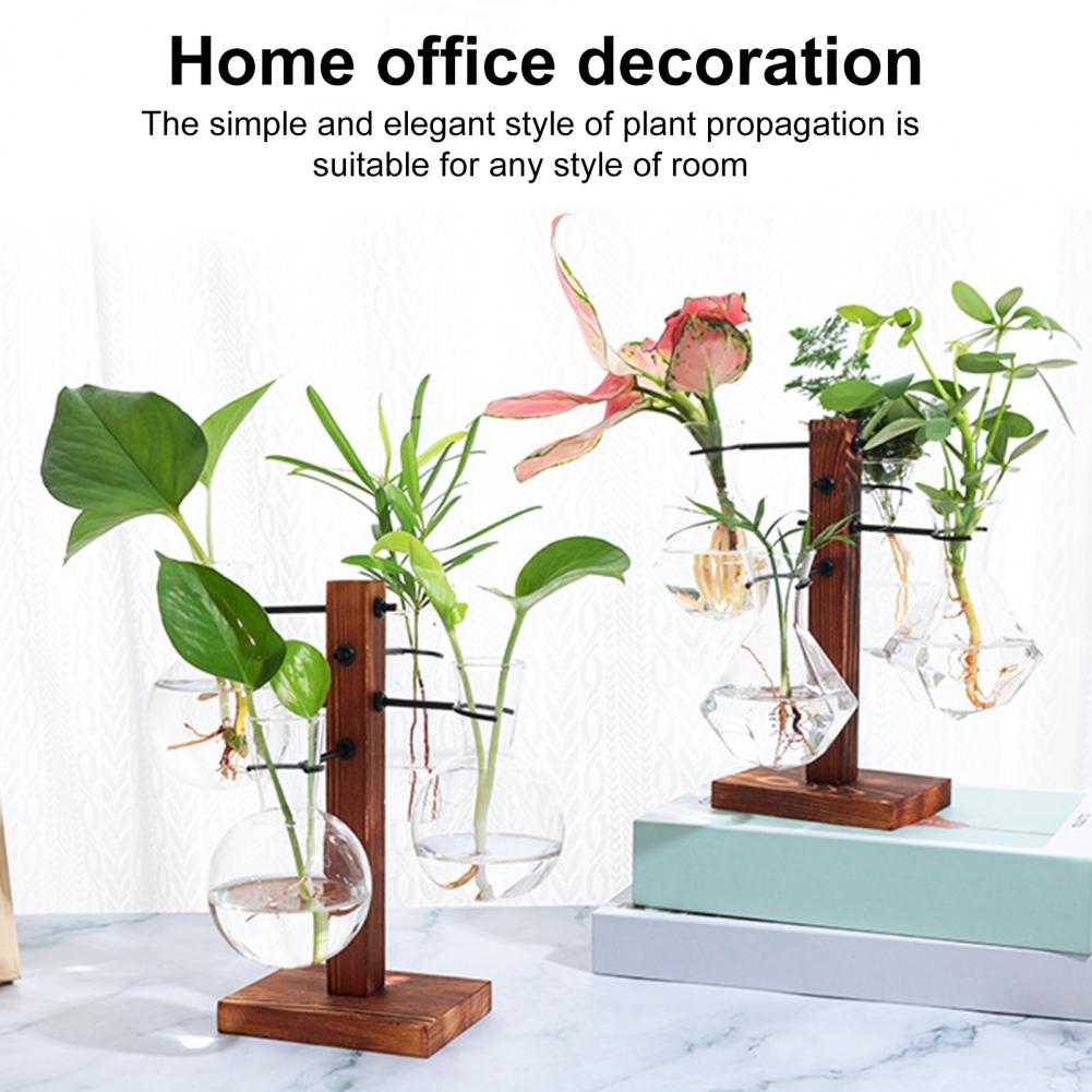 1 セット 10*25 センチメートル植物繁殖ステーション  - Propagation Station Vase のレビューと価格