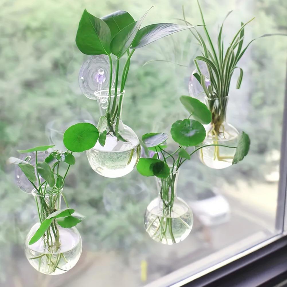 1/2/3/4/6/8個入り植物繁殖用バルブ、吸盤付き透明繁 - Propagation Station Vase のレビューと価格