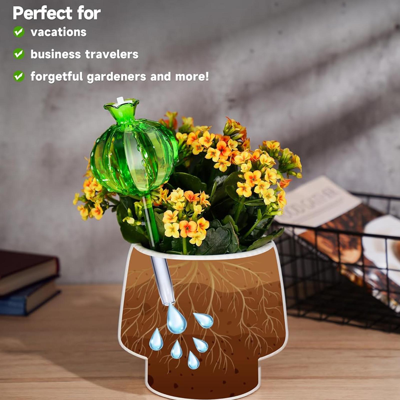 植物散水ステーク 3本セット スローリリース式 バケーション - Self Watering Insert のレビューと価格