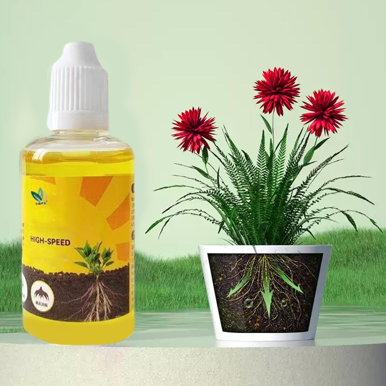 植物急速発根ソリューション 50ml 栄養豊富なフォーミュラ - Root Stimulator Liquid のレビューと価格