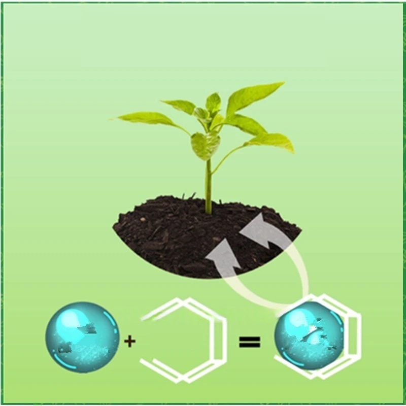 500g 高強度発根ホルモン粉末 速効性植物根刺激剤 挿し木 - Rooting Hormone Powder のレビューと価格