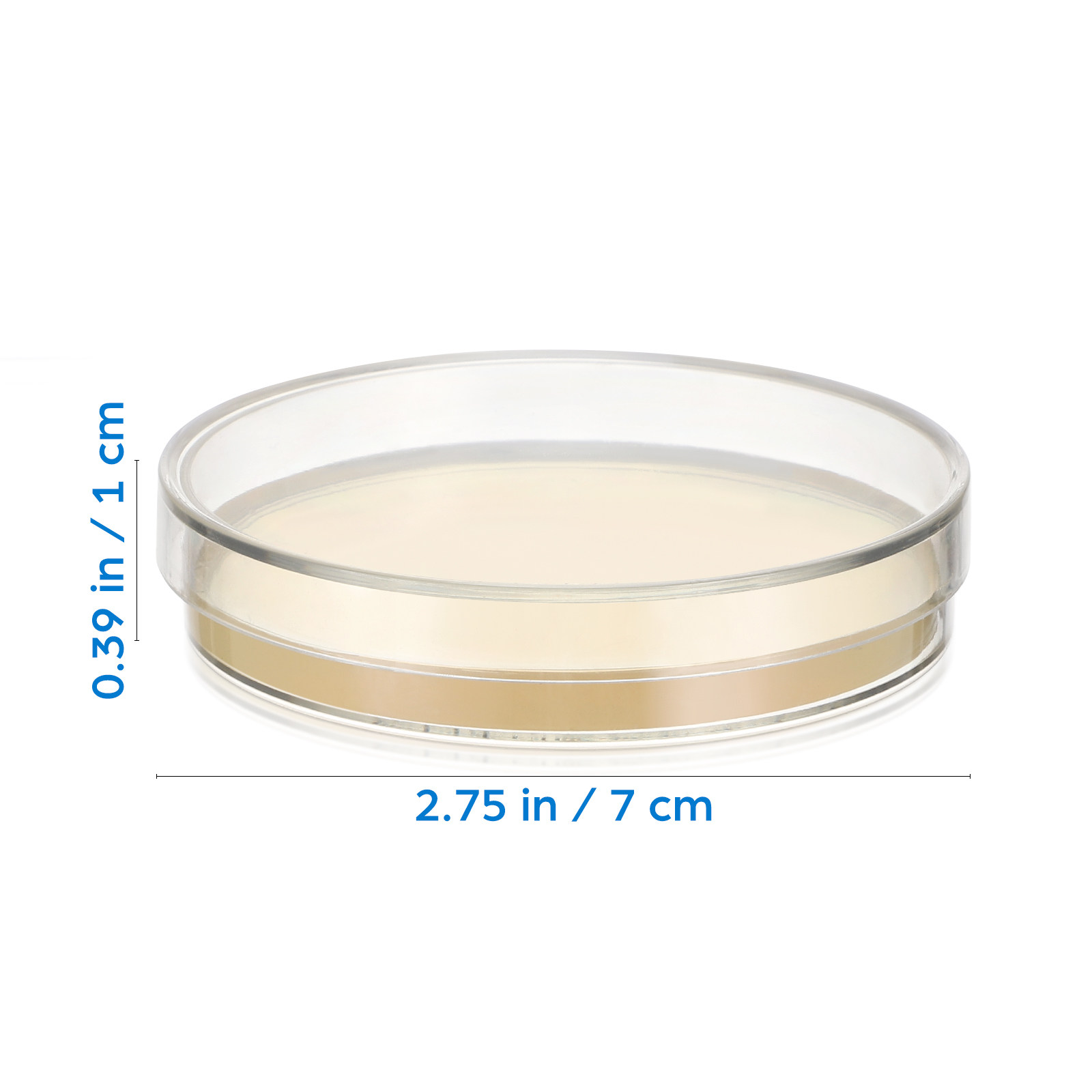 20個入りプレポアード寒天培地プレート、栄養寒天ペトリ皿、科 - Agar Tissue Culture のレビューと価格