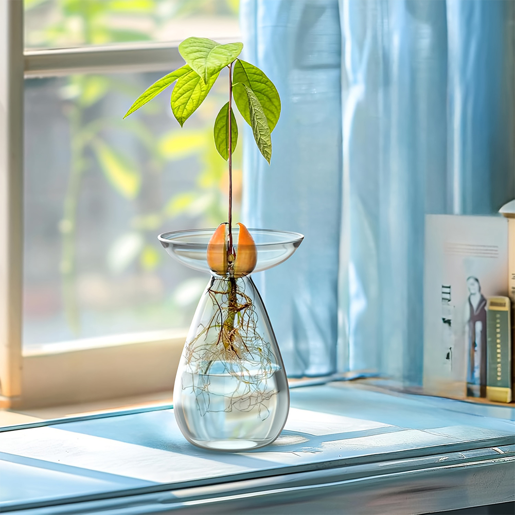 アボカド種子スターターベース透明植物繁殖ステーションガラスア - Propagation Station Vase のレビューと価格