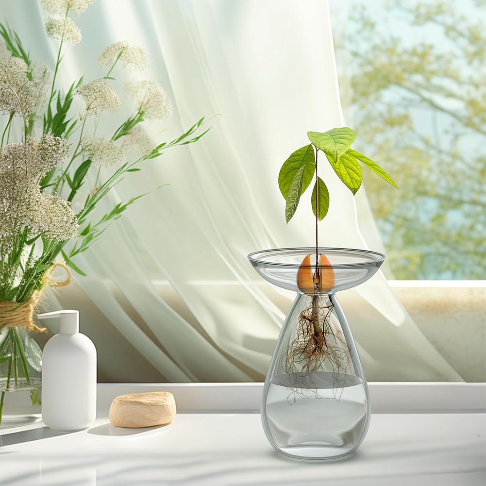 アボカド種子スターターベース透明植物繁殖ステーションガラスア - Propagation Station Vase のレビューと価格