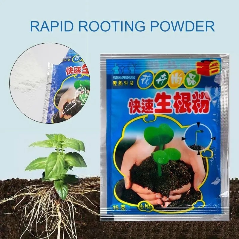 5 個の急速発根粉末植物急速発根剤ホルモン成長根苗発芽ほとん - Rooting Hormone Powder のレビューと価格