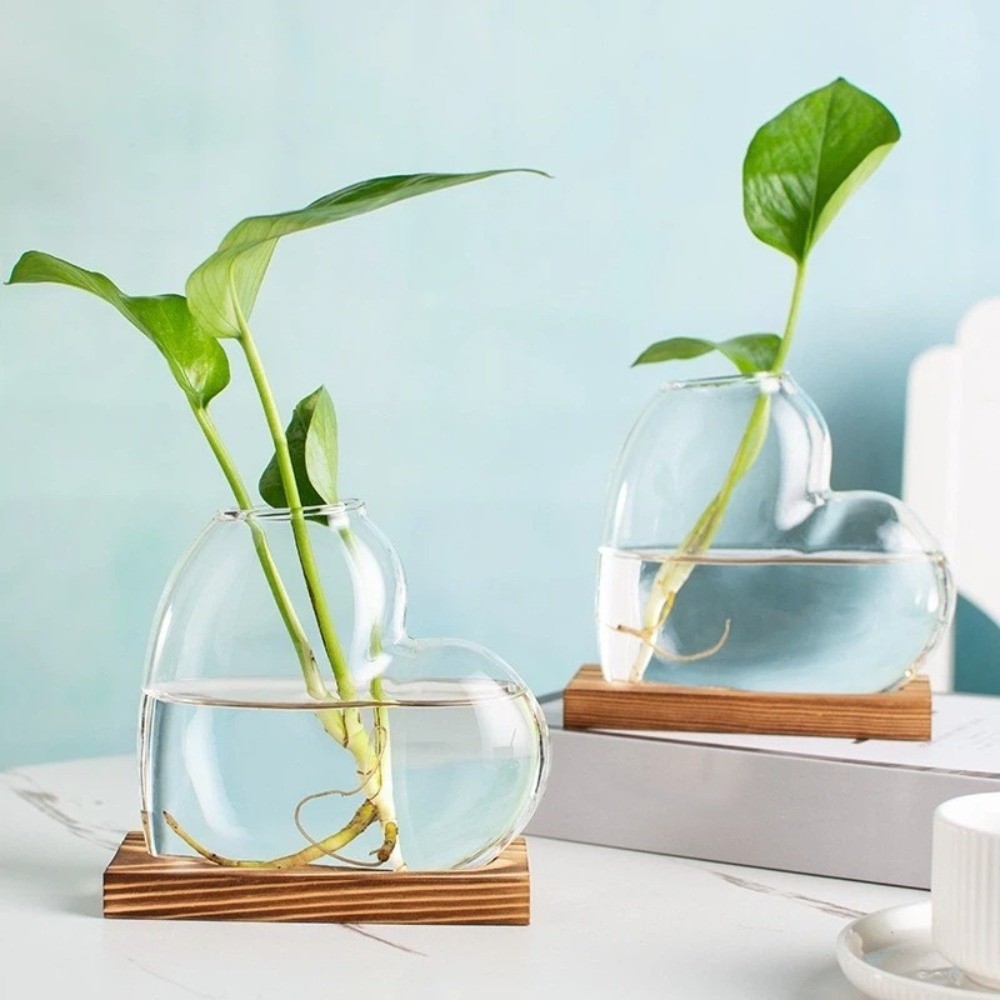 透明な水耕栽培ガラス花瓶木製スタンド装飾愛の形をした花瓶ミニ - Propagation Station Vase のレビューと価格