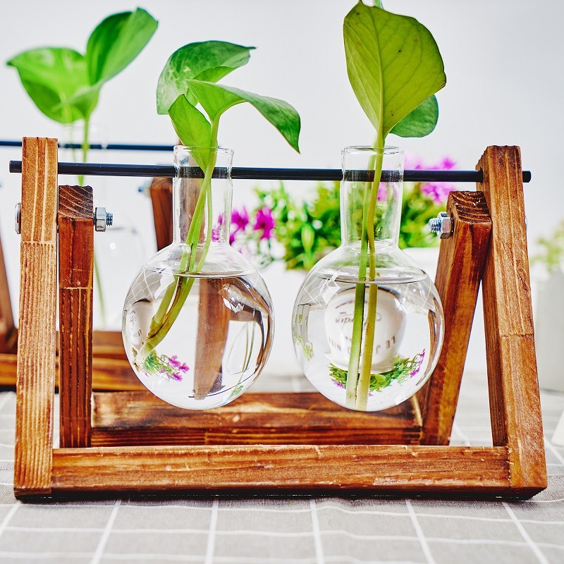 卓上ガラスプランター繁殖ステーション、植物用木製ラックテラリ - Propagation Station Vase のレビューと価格