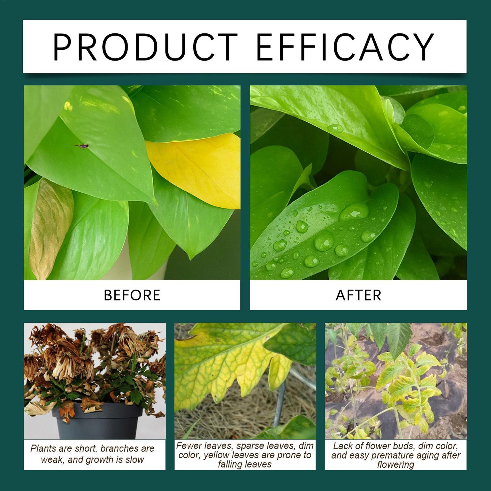 100ml植物発根液、根の成長促進剤、発根ホルモン濃縮液、屋 - Root Stimulator Liquid のレビューと価格