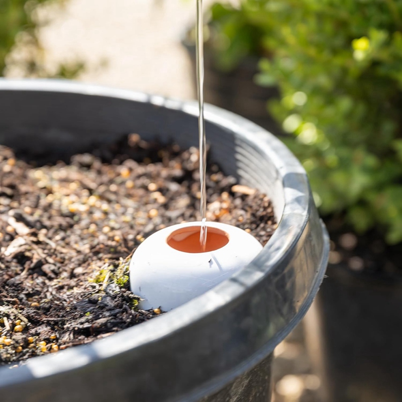 テラコッタ植物じょうろ、じょうろ、徐放、セルフスパイクじょう - Self Watering Insert のレビューと価格